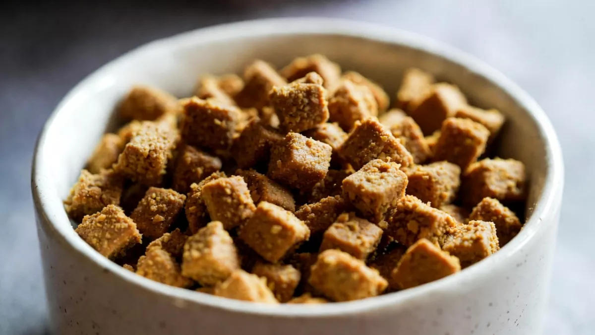 Freeze-dried raw cat food nuggets in a ceramic bowl.