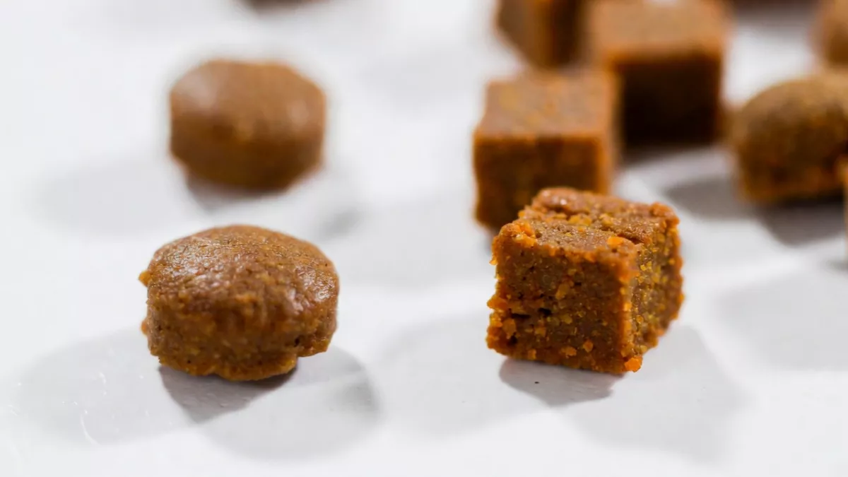 Comparison of standard cat kibble versus large breed kibble for Ragdolls.