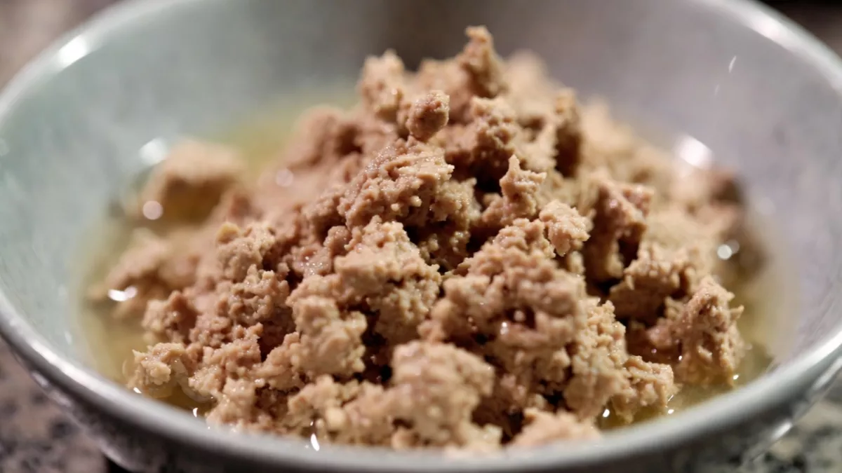 Nulo Freestyle minced turkey and cod wet food for cats with sensitive stomachs.