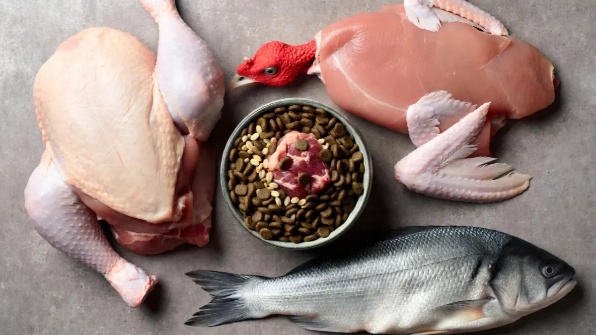 Fresh meat ingredients next to high-protein dry cat food.