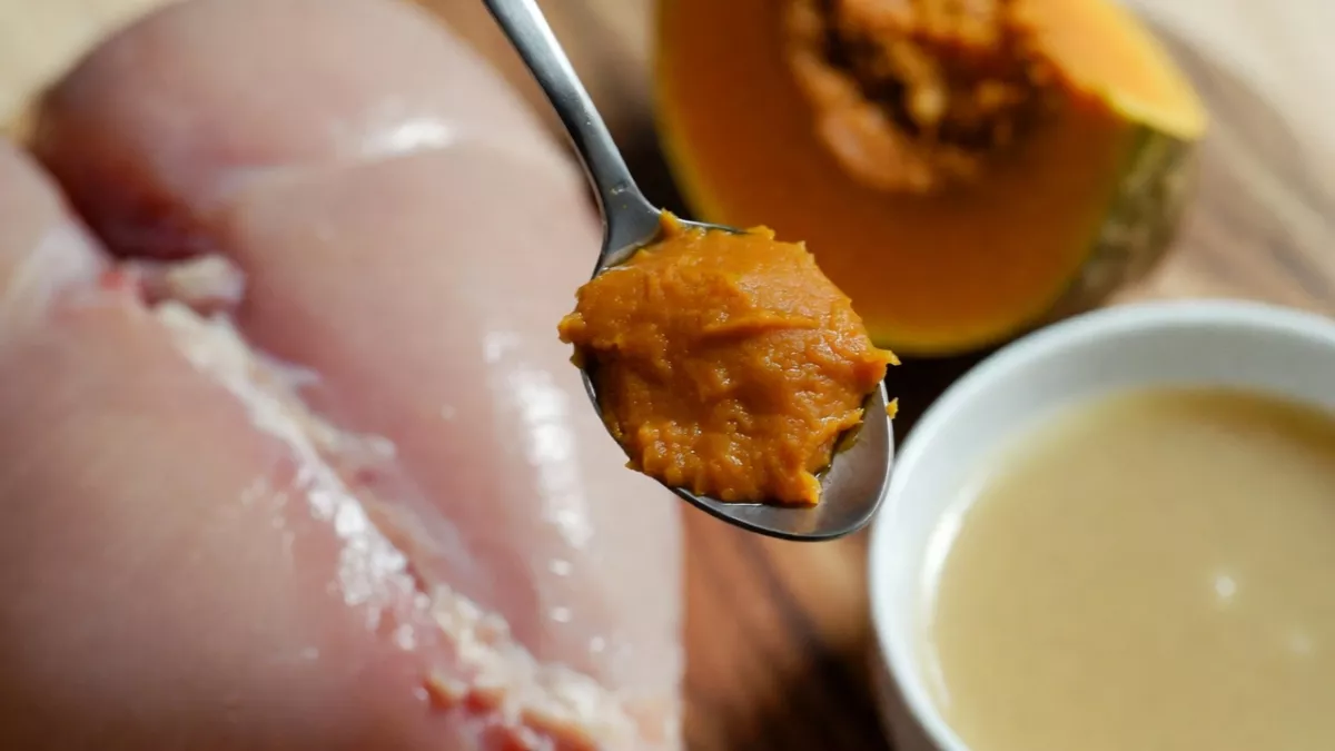 Fresh chicken, pumpkin, and bone broth ingredients for cat food.