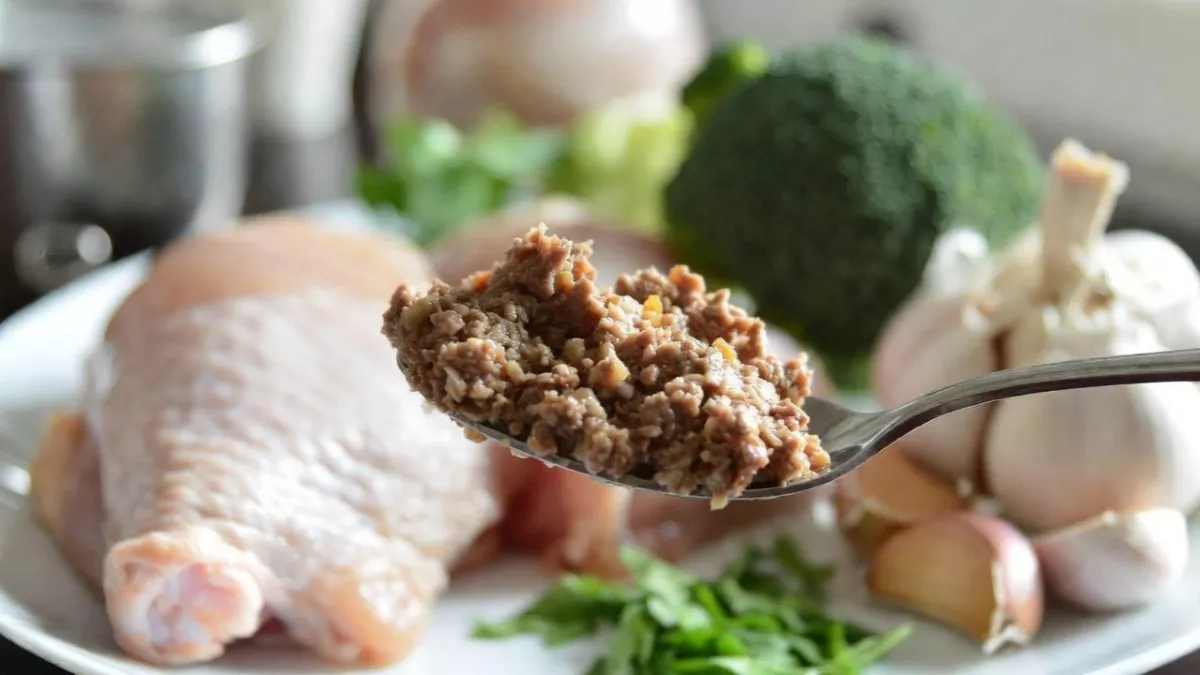 Smalls human-grade fresh bird recipe cat food on a plate showing ground meat texture.