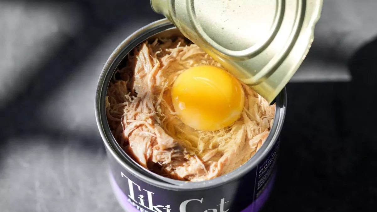 Tiki Cat After Dark wet food showing whole shredded chicken and organ meats.