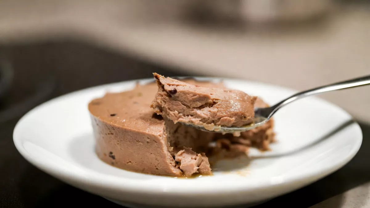 Wellness CORE grain-free pate wet food texture for Maine Coon kittens.