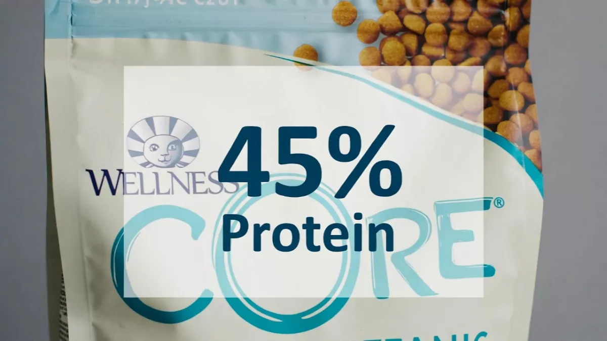 Wellness CORE grain-free high protein cat food.