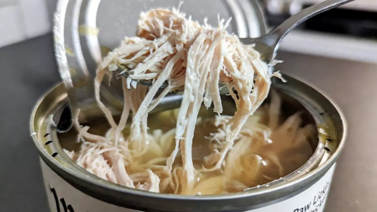 Weruva Paw Lickin' Chicken wet food showing shredded meat in heavy gravy for Maine Coons.